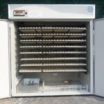 Industrial 2112 eggs incubator