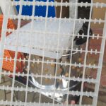 High-Capacity 88-Egg Setter Tray – Durable Egg Holding Tray for Incubators